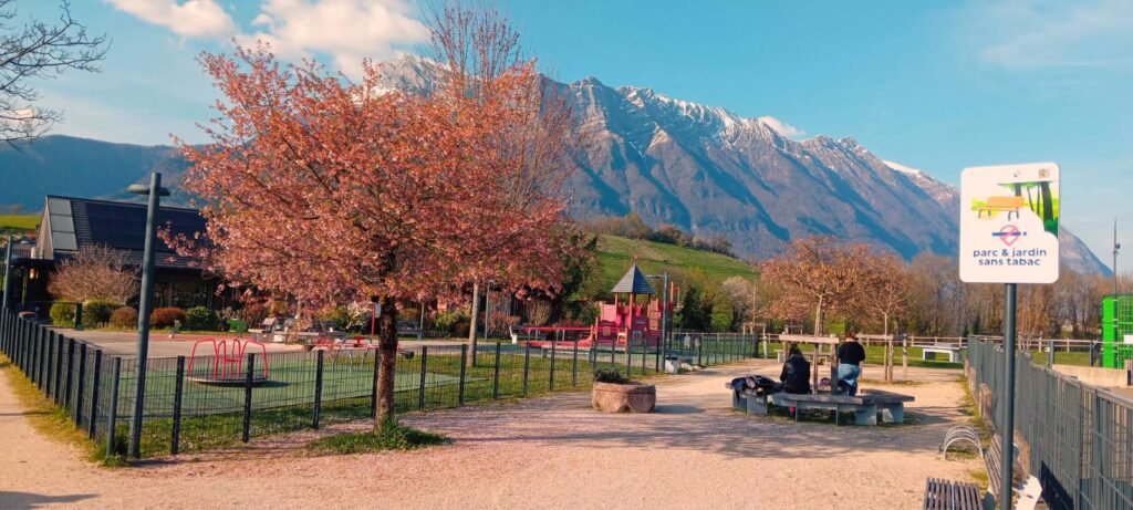 whatsapp image 2026 03 24 at 16.52.39